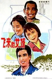 飞来的女婿 movie poster