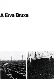 A Erva Bruxa movie poster