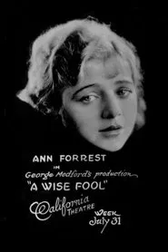 A Wise Fool movie poster