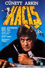 Poster do filme Kaçış