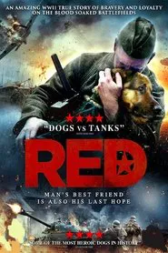 Poster do filme Red Dog