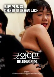 Good Wife: Wife's Experience movie poster