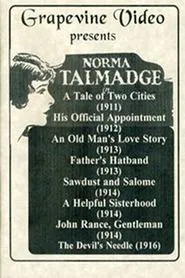 His Official Appointment movie poster