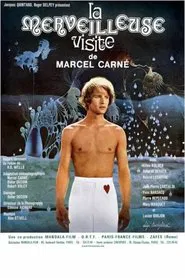 The Marvelous Visit movie poster