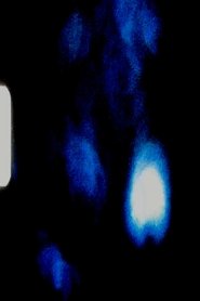 Poster do filme The Pleasure Seeker