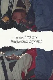 Si mai no ens haguéssim separat movie poster