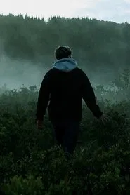 Sumarsólstöður movie poster