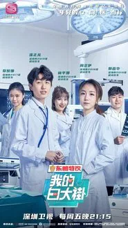我的白大褂 tv show poster