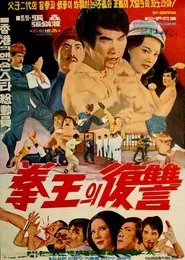 Poster do filme Blind Boxer
