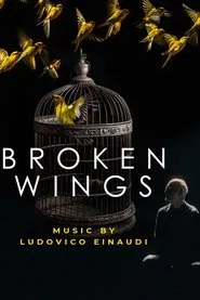 Poster do filme Broken Wings