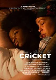 Cricket movie poster
