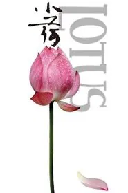 Poster do filme Lotus