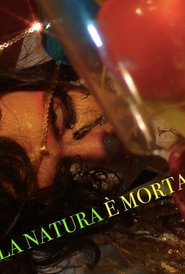 La natura è morta movie poster