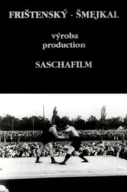 Frištenský - Šmejkal movie poster