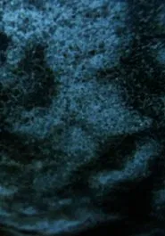 Salt Lake movie poster