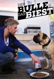 Der Bulle und das Biest tv show poster
