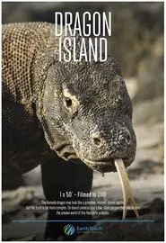 Dragon Island movie poster