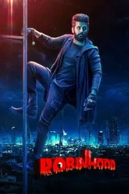 Robinhood movie poster