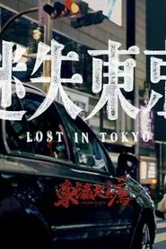 东瀛大宝荐 tv show poster
