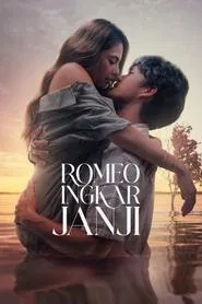 Romeo and Promises movie poster