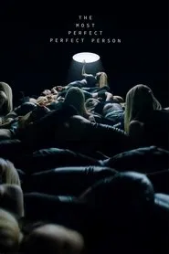 The Most Perfect Perfect Person movie poster