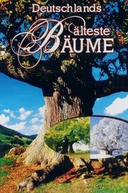 Deutschlands älteste Bäume tv show poster