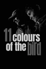 11 Colours of the Bird movie poster