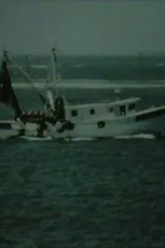 Shrimp Boat Log movie poster