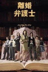 Divorce Lawyer tv show poster