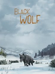 Poster do filme Black Wolf