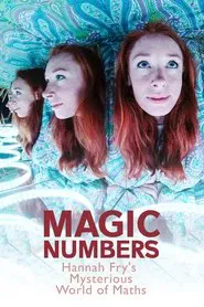 Magic Numbers: Hannah Fry's Mysterious World of Maths tv show poster