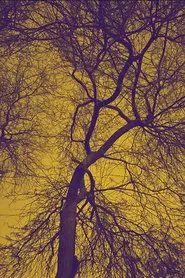 Poster do filme Darkness above and below, laying on the bliss