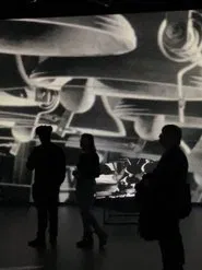 David Crocpsy Li: Clips from his trip to Ottawa Parliament movie poster