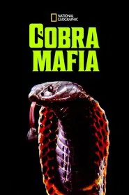 Cobra Mafia movie poster