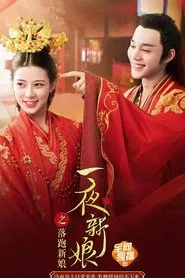 Poster do filme 一夜新娘之落跑新娘