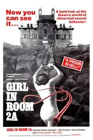 Poster do filme The Girl in Room 2A