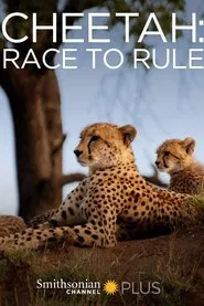 Cheetah: Race to Rule movie poster
