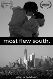 Most Flew South movie poster