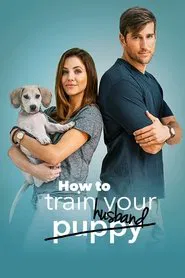 How to Train Your Husband movie poster