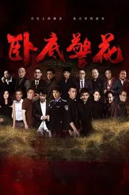 卧底警花 tv show poster
