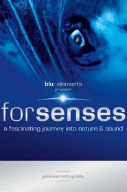 Forsenses - A Fascinating Journey into Nature & Sound movie poster
