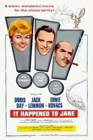 It Happened to Jane movie poster