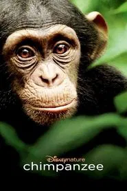Chimpanzee movie poster