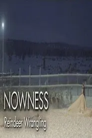 Untold Odyssey: Reindeer Wrangling movie poster