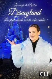 La magie de Noël à Disneyland : Les plus grands secrets enfin révélés ! movie poster