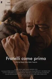 Brothers Again movie poster