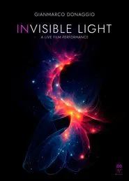 Poster do filme In Visible Light