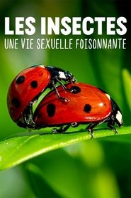 Poster do filme Les insectes, une vie sexuelle foisonnante