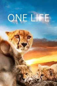 Poster do filme Uma Vida