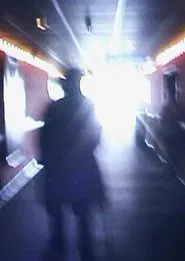 Stan Brakhage Exits the Cinema and Enters the Light of Day movie poster